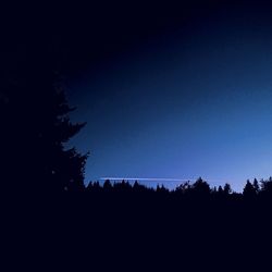 Silhouette trees against clear sky at night