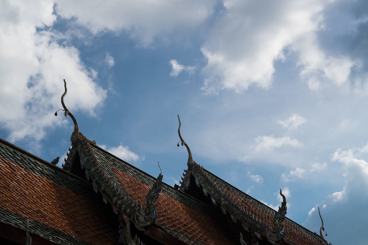 LOW ANGLE VIEW OF HOUSES AGAINST SKY