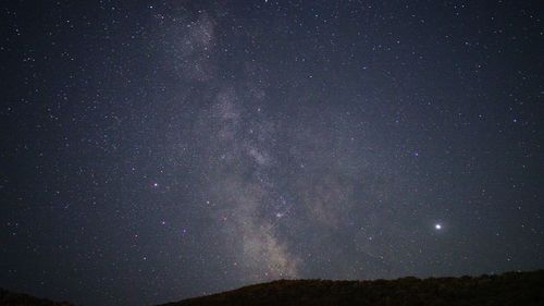 Low angle view of star field against sky at night