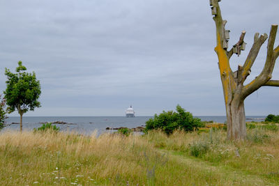 The island of bornholm in denmark