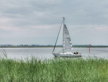 Sailboat on sea against sky