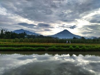 Scenic view of field by lake against sky
