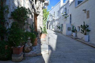 Street amidst buildings in city