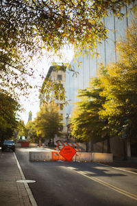 Street amidst trees in city during autumn