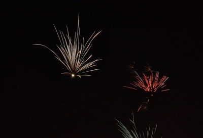 Firework display at night