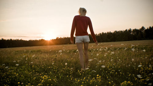 Rear view full length of young woman on flowering field during sunset