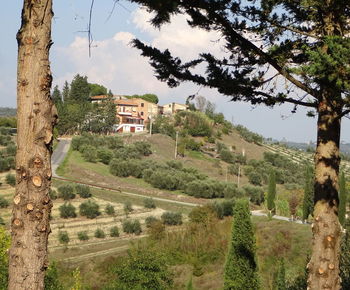 Scenic view of trees and buildings against sky