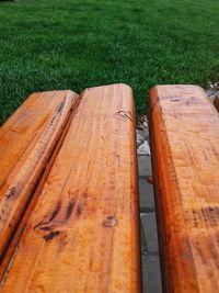 High angle view of wood on field