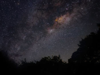 Low angle view of trees against sky at night