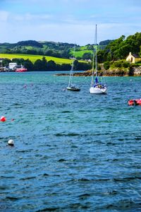 Sailboats in sea against sky