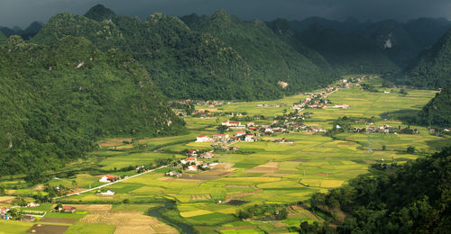 High angle view of agricultural field