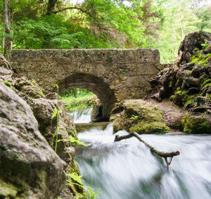 Water flowing through arch bridge over trees