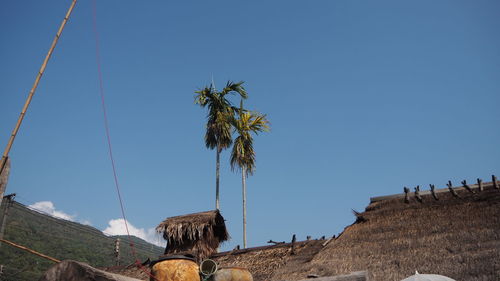 Panoramic view of palm trees against clear blue sky