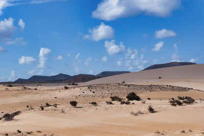 Scenic view of desert against sky