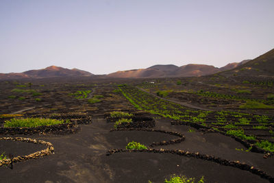 Scenic view of landscape against clear sky