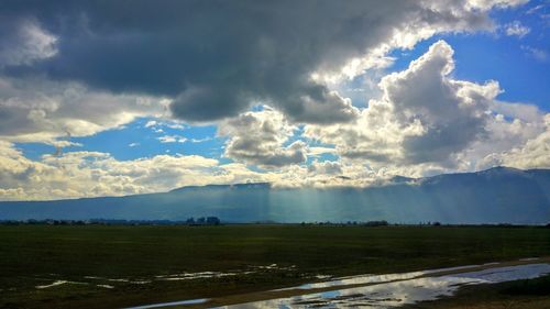 Scenic view of landscape against sky