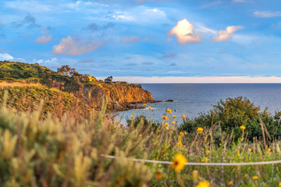 Scenic view of sea against sky