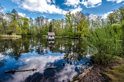 Reflection of trees in lake against sky