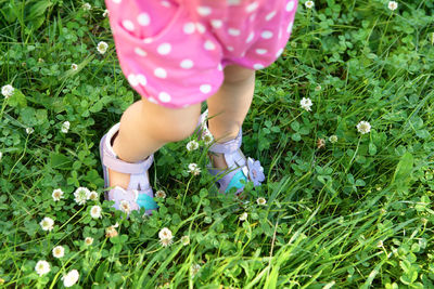 Little girl stands on grass. legs of little girl in lilac sandals, in pink bodysuit in grass 