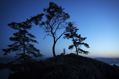 Low angle view of silhouette trees against clear sky