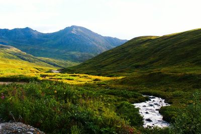 Scenic view of mountains