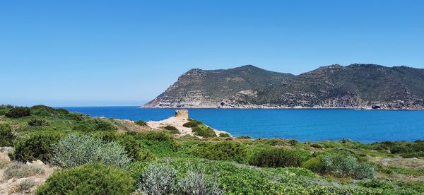 Scenic view of porto ferro la torretta against clear blue sky