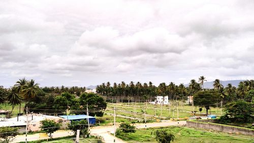 Panoramic view of palm trees against sky