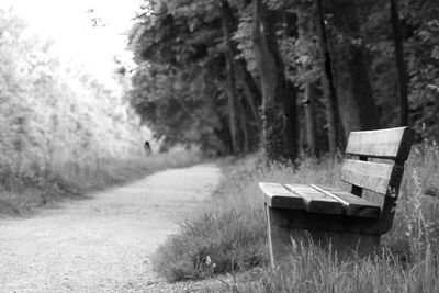 Empty bench on field by trees