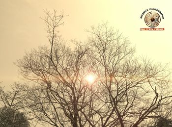 Silhouette bare trees against sky during sunset