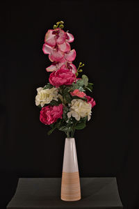 Close-up of flowers against black background