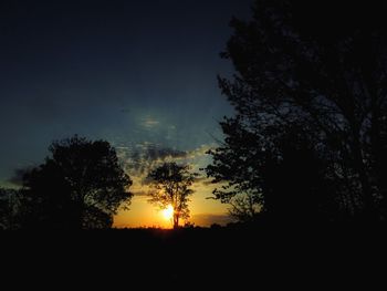 Silhouette trees against sky during sunset