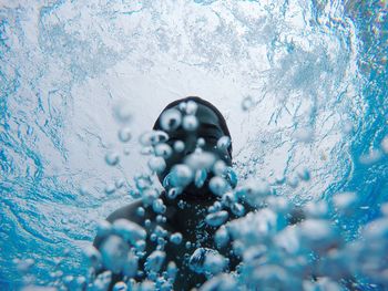 Close up of plant against blurred background