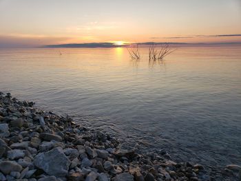 Scenic view of sea during sunset