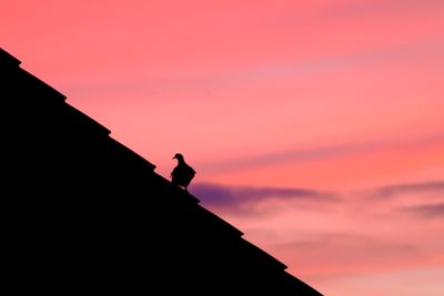 Low angle view of silhouette bird perching on roof against sky during sunset