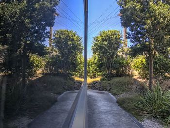 Road amidst trees in forest against sky