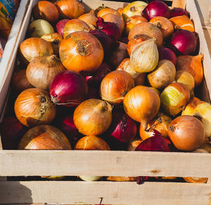 Close-up of onions