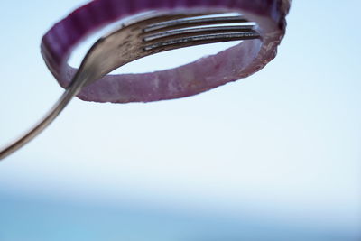 Raw red onion ring on fork