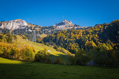 Scenic view of trees and mountains against clear blue sky