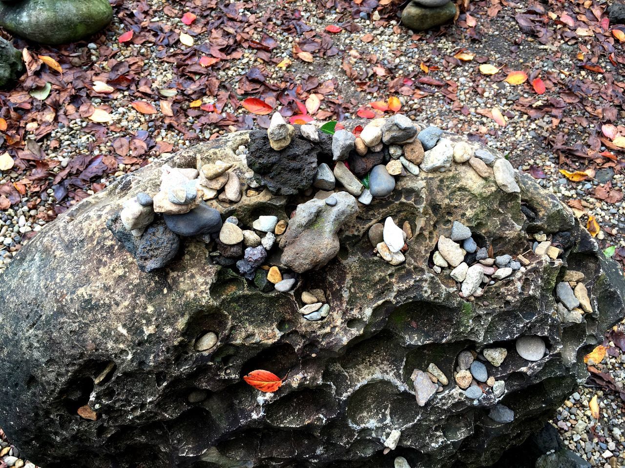 high angle view, full frame, abundance, backgrounds, pebble, large group of objects, stone - object, directly above, nature, textured, rock - object, day, outdoors, close-up, food and drink, no people, field, healthy eating, leaf, freshness