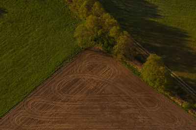 High angle view of trail on farm