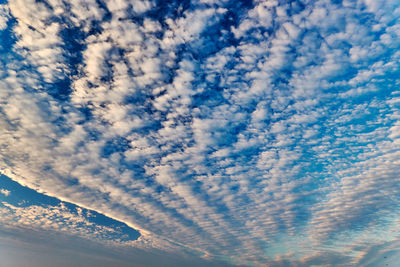 Low angle view of vapor trails in sky