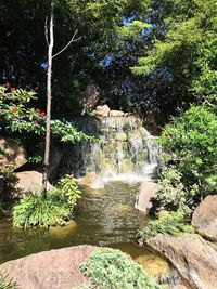 Scenic view of waterfall in forest