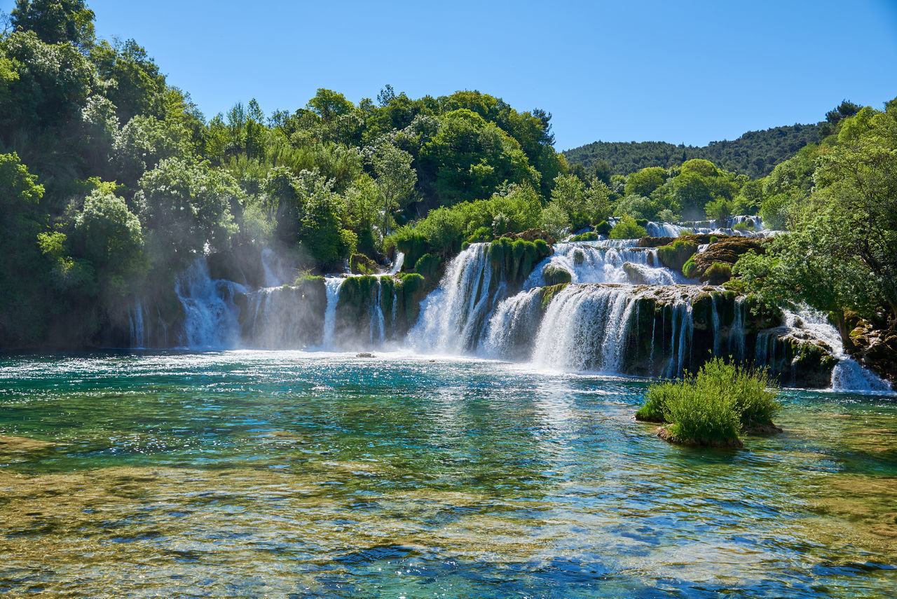 SCENIC VIEW OF WATERFALL IN FOREST