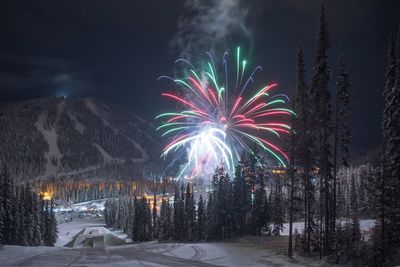 Firework display at night