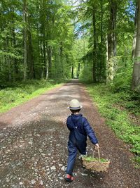 Rear view of boy on footpath amidst trees in forest
