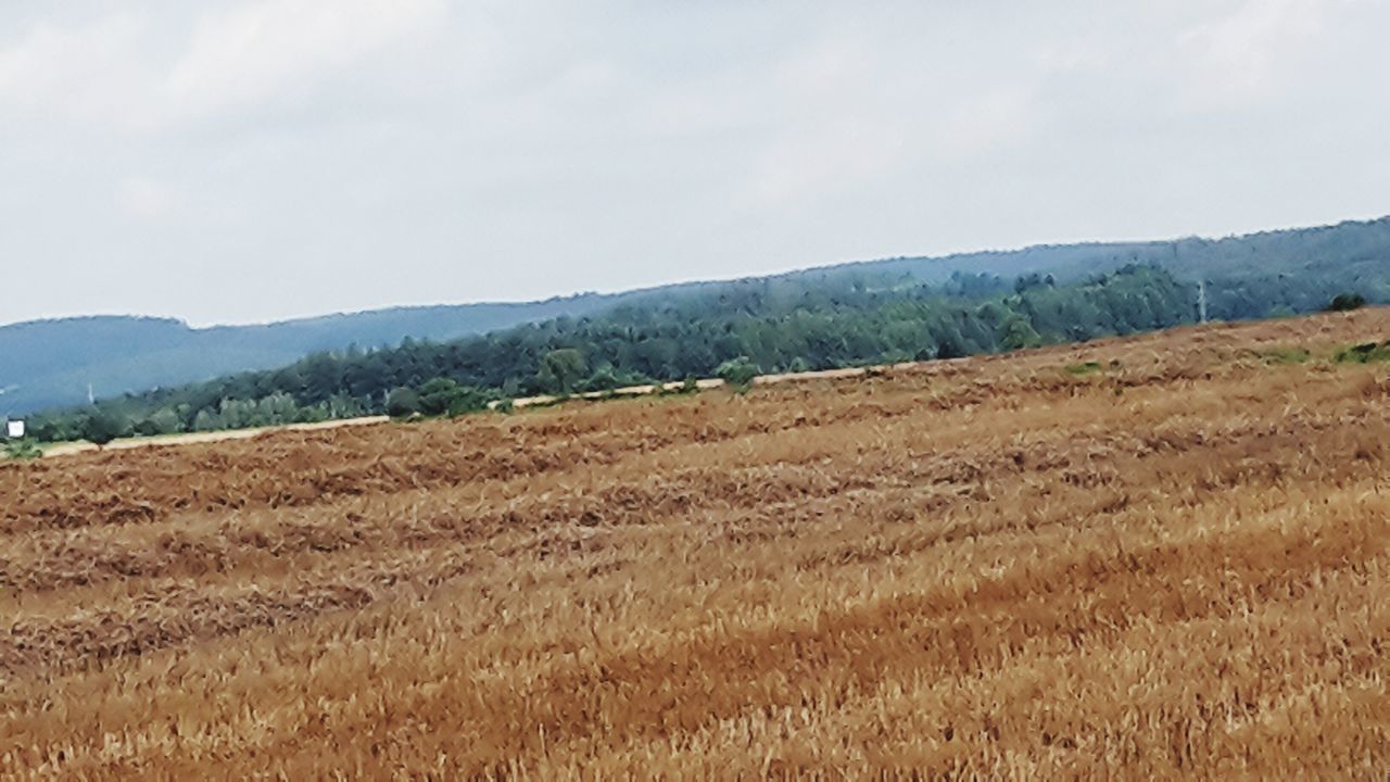 landscape, tranquil scene, scenics, tranquility, field, mountain, nature, beauty in nature, non-urban scene, sky, growth, agriculture, rural scene, plant, remote, day, outdoors, cloud - sky, farm, no people, solitude, mountain range, countryside