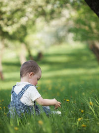 Rear view of boy sitting on field against trees