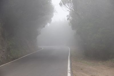 Road passing through forest