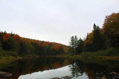 Reflection of trees in lake against sky during autumn