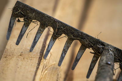 Close-up of rusty metal on wood